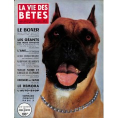 LA VIE DES BÊTES |Premier Numéro