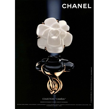 Milk |Premier Numéro