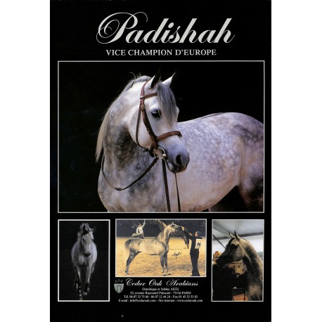 Les Cahiers du Cheval Arabe |Premier Numéro