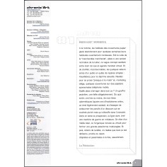 chronic'art |Premier Numéro 2