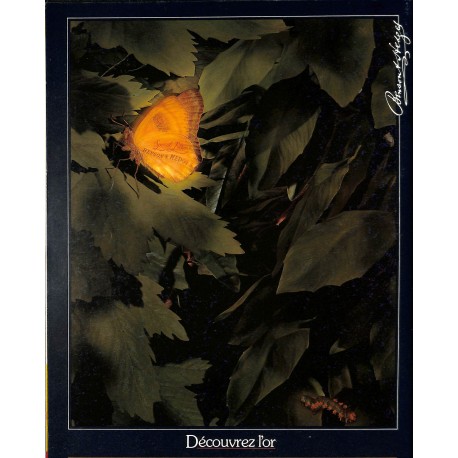 Afrique ELITE |Premier Numéro