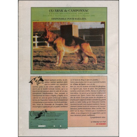CHIENS DE SPORT |Premier Numéro