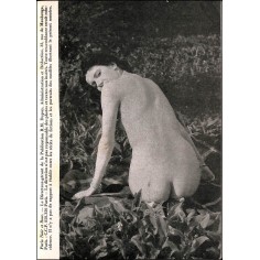 PARIS NOIR et rose |Premier Numéro 2