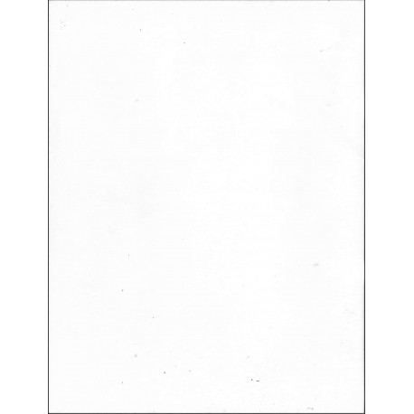 GAMBISCO |Premier Numéro