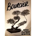BONSAI Création |Premier Numéro