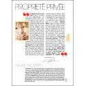 Beauté BLACK magazine |Premier Numéro
