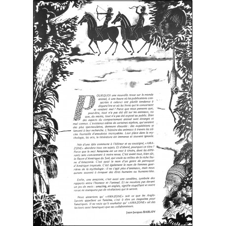 AMAZONE |Premier Numéro