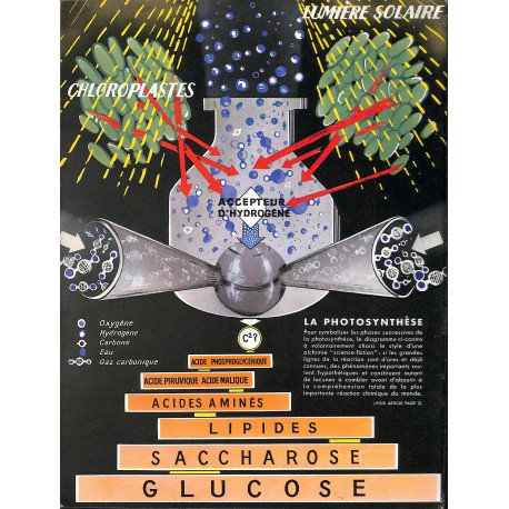 EQUILIBRE |Premier Numéro