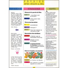 GRAIN de SEL |Premier Numéro 2