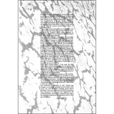 TRIBUNE DES PEUPLES |Premier Numéro 2