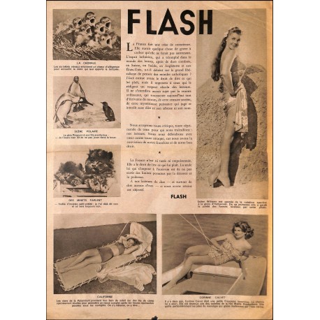 FLASH |Premier Numéro