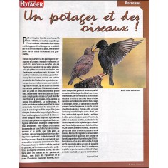 Spécial Potager |Premier Numéro 2