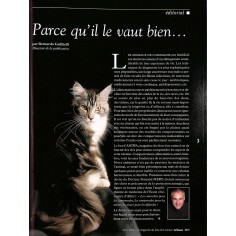 ANIWA |Premier Numéro 2